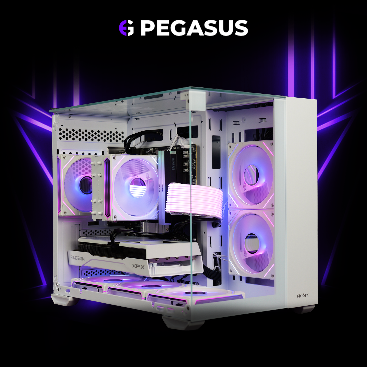Pegasus